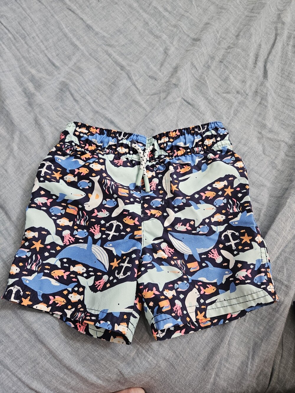 Cat & Jack Toddler Boys Sea Life Whale Shark Swim Trunks Size 2T